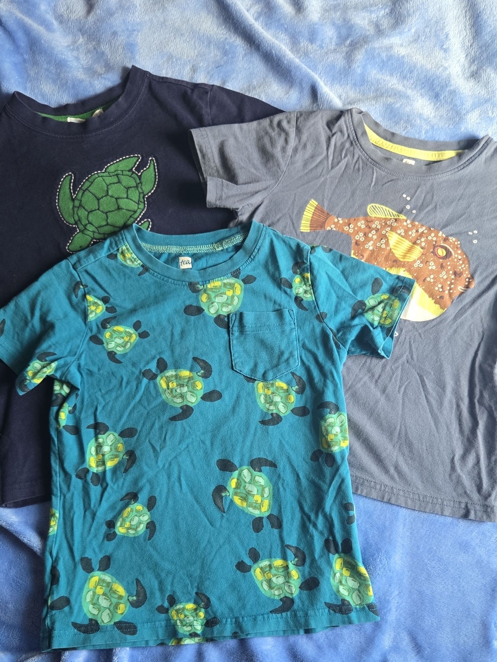 Sz 6 Tea/Janie & Jack Ocean Theme Shirt Bundle For Boys